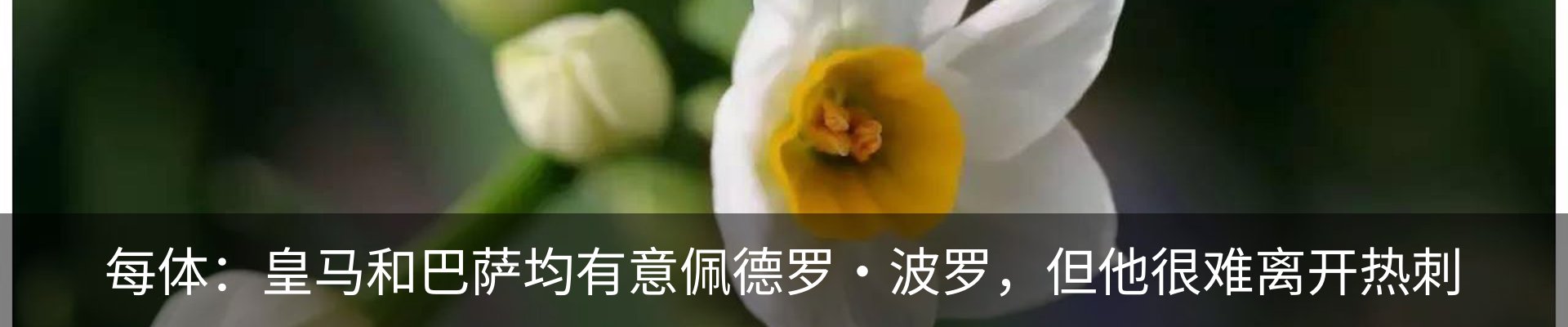 新闻动态